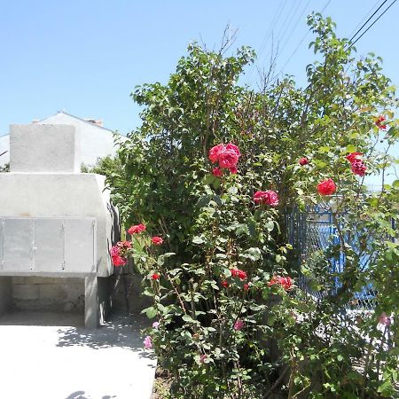 Guest House "Tania" Αγαθούπολη Εξωτερικό φωτογραφία