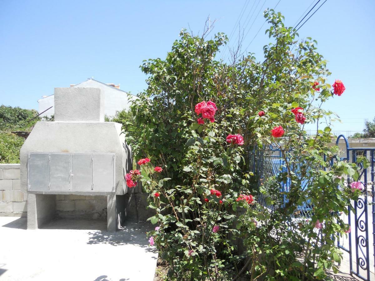 Guest House "Tania" Αγαθούπολη Εξωτερικό φωτογραφία